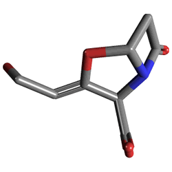 Augmentin Bid 625 mg 10 Tablet () Kimyasal Yapısı (3 D)