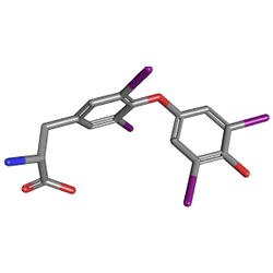 Euthyrox 200 mcg 50 Tablet (Levotiroksin) Kimyasal Yapısı (3 D)
