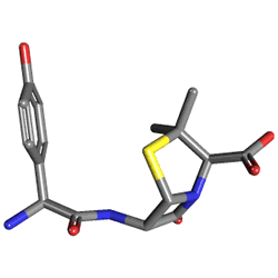 Amoksina 500 mg 16 Tablet (Amoksisilin) Kimyasal Yapısı (3 D)