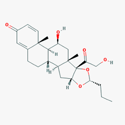 Budecort Steri-Neb 1 mg/2 ml İnhalasyon 20 Ampül (Budesonid) Kimyasal Yapısı (2 D)